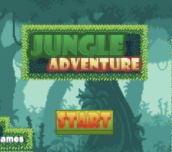 Hra - Jungle Adventure